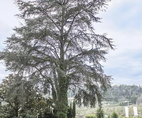 Relais Cassia 2* Roma